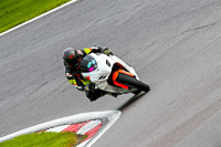 PJ-Motorsport-Photography-2020;anglesey;brands-hatch;cadwell-park;croft;donington-park;enduro-digital-images;event-digital-images;eventdigitalimages;mallory;no-limits;oulton-park;peter-wileman-photography;racing-digital-images;silverstone;snetterton;trackday-digital-images;trackday-photos;vmcc-banbury-run;welsh-2-day-enduro